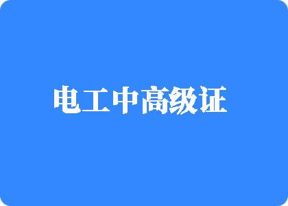 男女插B网电工中高级证